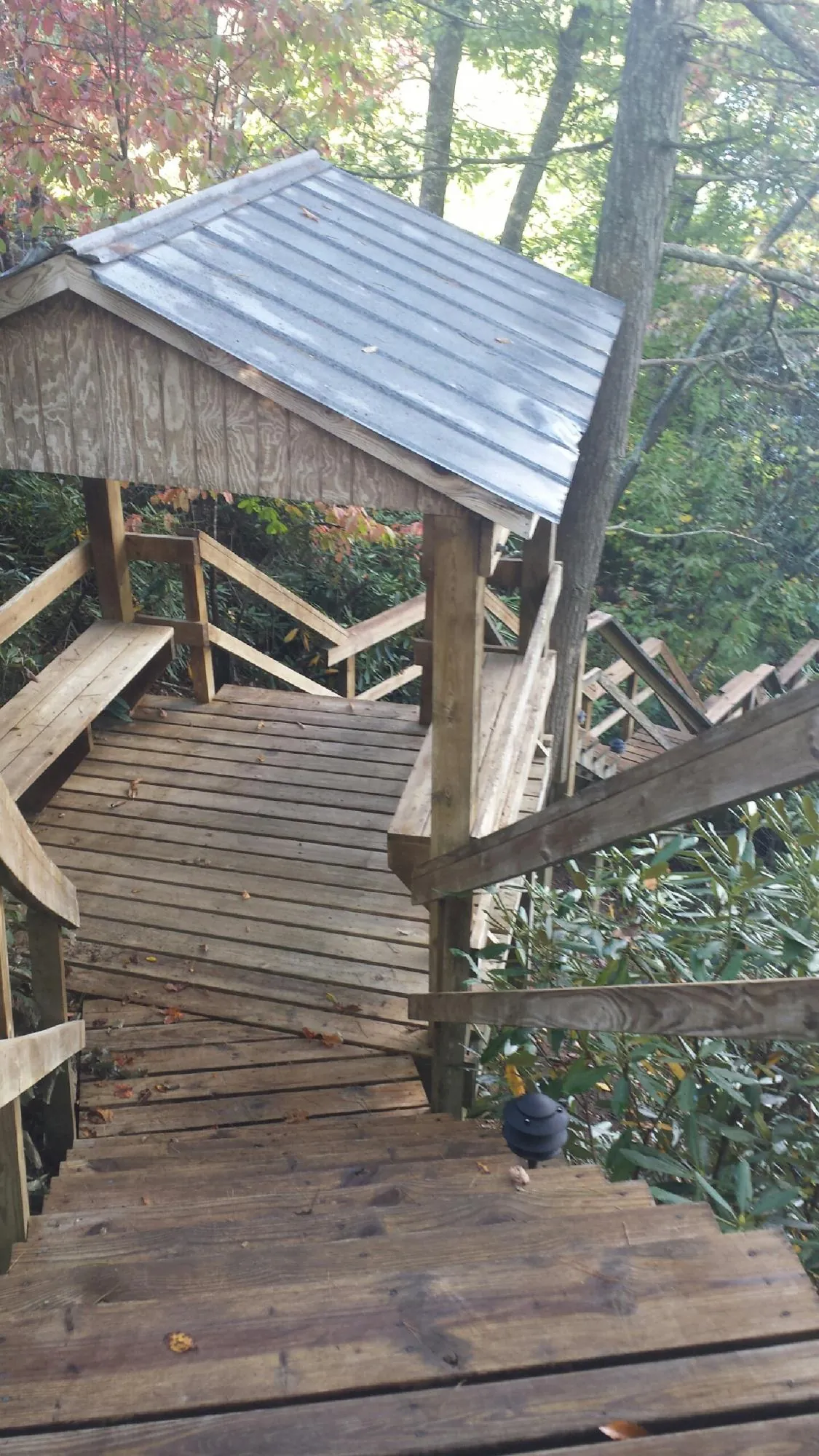Metal roofed shelter over wooden steps on a wooded walkway — Skylight Repair & Installation work by our crew in Brooklet
